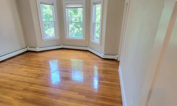 empty and cleaned wood floor.