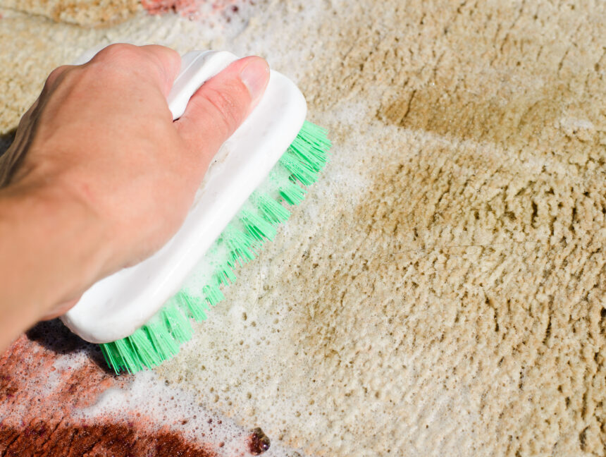 How to Clean Vomit from Carpet: Quick and Effective Methods