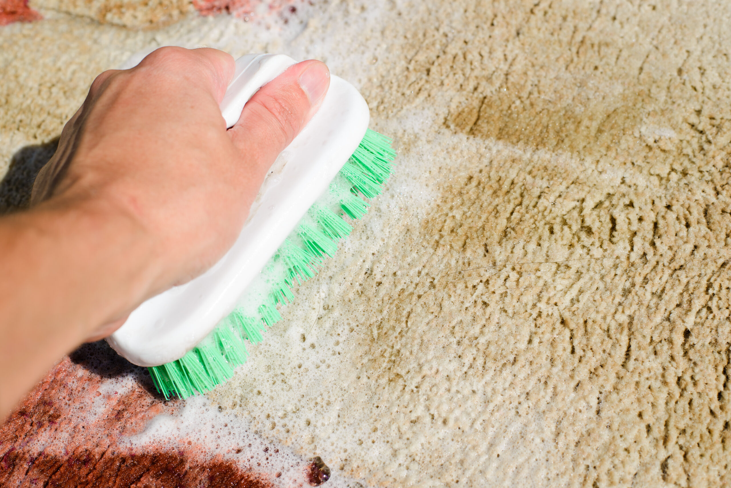 How to Clean Vomit from Carpet: Quick and Effective Methods